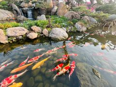 -罗红摄影艺术馆