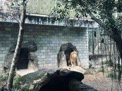 -福州动物园