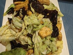 白菜木耳豆腐-桃子餐厅·天津菜(红星路直营店)