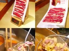 -手选潮汕鲜活牛肉火锅(二七广场店)