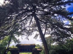 -红螺寺