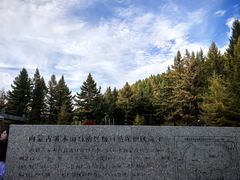 -苏木山森林公园