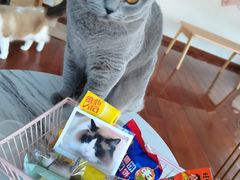 -Catmate·猫肥家润(金润铂宫店)