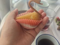 -云中小雅