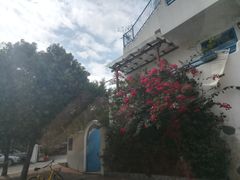 -长江六号法国餐厅(长江南路店)