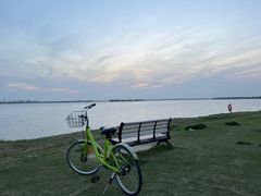 -漕湖湿地公园