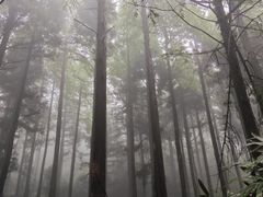 -罗田薄刀峰风景区