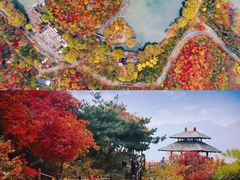 -九如山休闲旅游度假区