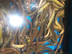 -盒马鲜生(馥邦国际店)