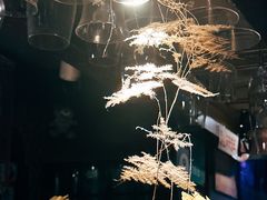 -民谣未来吧