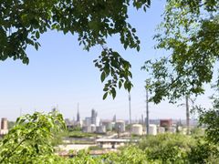 -白水寺森林公园