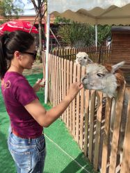 -萌宠亲子动物乐园(槐房万达店)