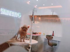 -瑞派宠物医院·24小时骨科·心脏·核磁(哈尔滨南岗店)