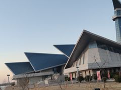 -盐城丹顶鹤湿地生态旅游区