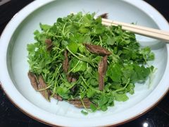-宛平九号