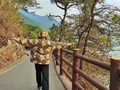 -羚羊峡古栈道森林公园