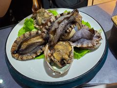 鲜活小鲍鱼-金龙·打边炉(武进路店)
