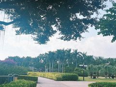 -白鹭洲公园