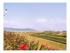 -光明小镇欢乐田园