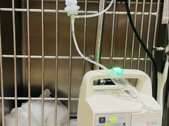 -宠福鑫动物医院(望京分院)