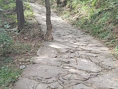 -北京上方山国家森林公园
