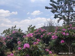 -名花谷生态庄园