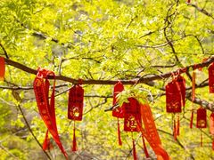 -云丘山景区