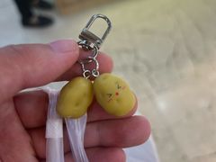 -周小亮丁家坡洋芋(全国总店)