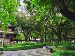 -九龙寨城公园