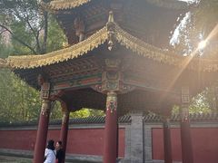 -护国法轮寺