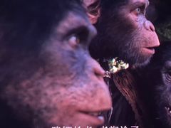 -武汉华夏国际影城(鲁广店)