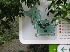 -西湖风景区-江洋畈生态公园