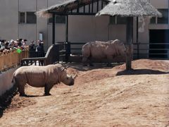 -鄂尔多斯野生动物园