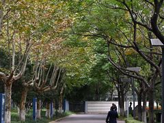 -金陵中学(河西分校)