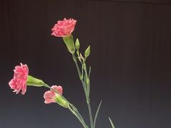 -潇湘府PLUS(大族广场店)