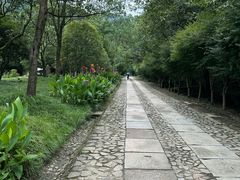 -黄公望隐居地