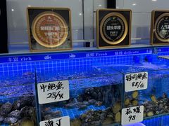 -小海丁