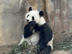 -青藏高原野生动物园