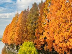 -运河游船(武林门码头)