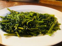 -绿光森林餐厅
