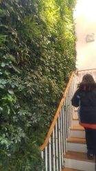 -悦诗风吟innisfree