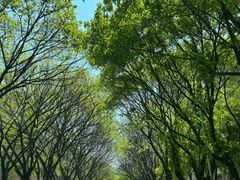 -三水森林公园