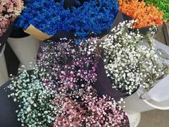 -三圣花乡旅游区