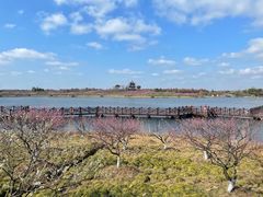 -上海海湾国家森林公园