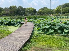 -美兰湖景区