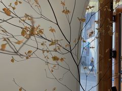 -COMPANION COFFEE小伴咖啡