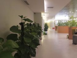 -添囍月子会所