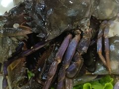 -山海关浑锅(秦皇岛首店)