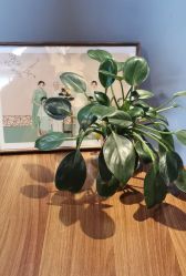 -宝宝贝贝儿童摄影(解放街店)