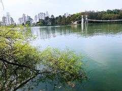 -东湖落雁景区